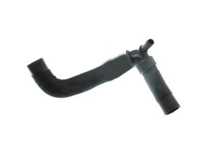 Ford DG9Z-8286-D Lower Hose