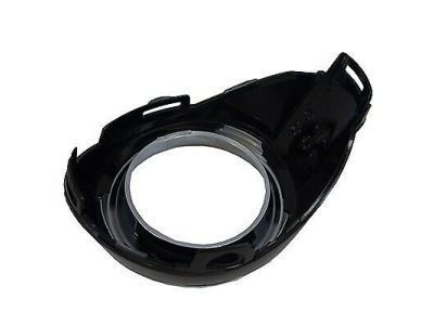 Ford CP9Z-17E810-DC Fog Lamp Bezel