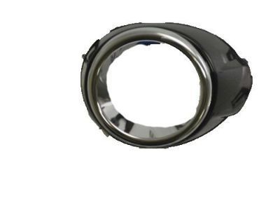 Ford CP9Z-17E810-DC Fog Lamp Bezel