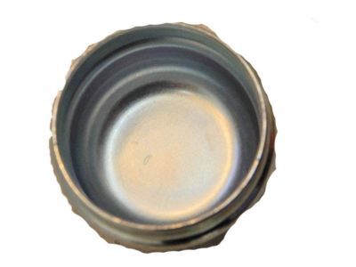 Ford 9L1Z-1131-A Dust Cap