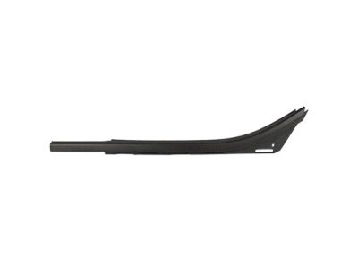 Ford FL3Z-1825597-A Belt Molding