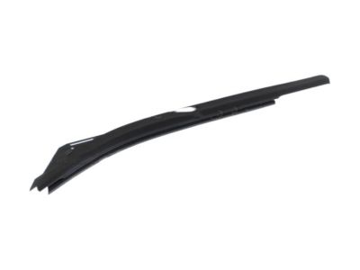 Ford F-250 Super Duty Weather Strip - FL3Z-1825597-A