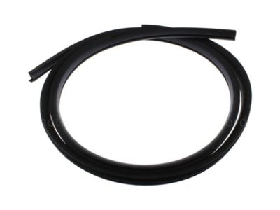 2011 Ford Explorer Weather Strip - BB5Z-78253A10-B