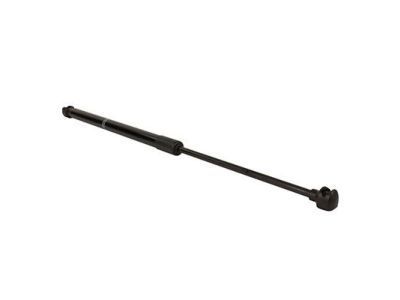 Ford EcoSport Trunk Lid Lift Support - GN1Z-74406A10-B