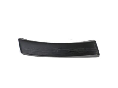 Ford YL8Z-7829039-DAB Lower Molding