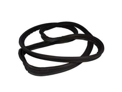 Lincoln LS Weather Strip - 1W4Z-5443720-AA