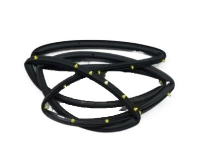 Ford Escape Weather Strip - CJ5Z-7825324-A