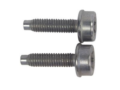 Lincoln -W715565-S900 Oil Pipe Bolt