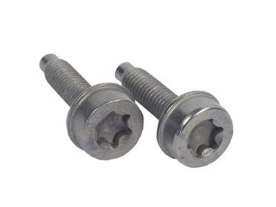 Lincoln -W715565-S900 Oil Pipe Bolt