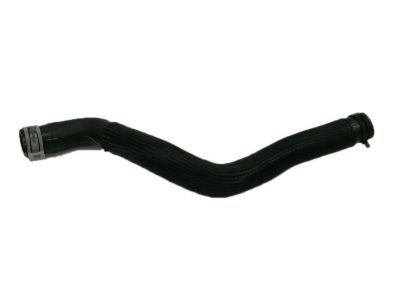 Ford DG9Z-8260-DB Upper Hose