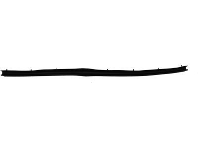 Ford F81Z-2520758-AA Lower Weatherstrip