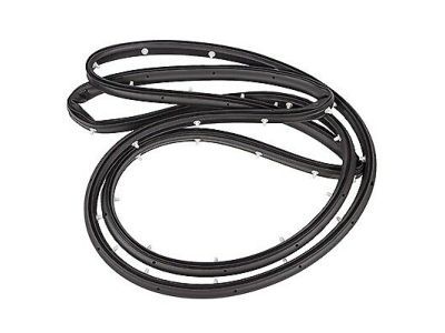 Ford Escape Weather Strip - CJ5Z-7820530-A