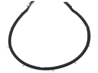 Ford Weather Strip - FR3Z-16A238-C