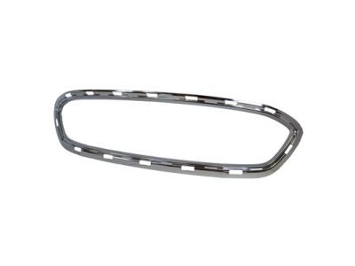 Ford AE8Z-8200-BA Grille Surround