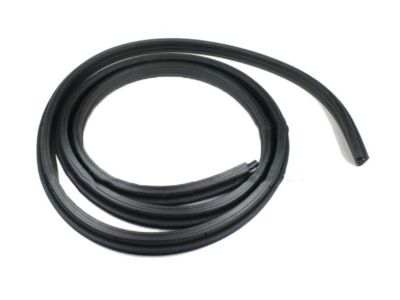 Ford F1TZ-7842084-B Weatherstrip