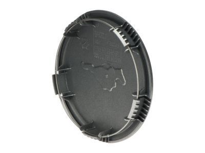 Ford F9ZZ-1130-FA Hub Cap