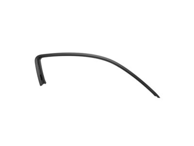 Ford CR3Z-6351238-A Upper Weatherstrip Retainer