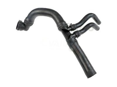 Lincoln BL3Z-8286-A Lower Hose