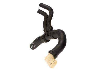 Lincoln BL3Z-8286-A Lower Hose