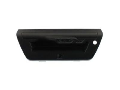 Ford F-150 Tailgate Handle - FL3Z-9943400-GBPTM