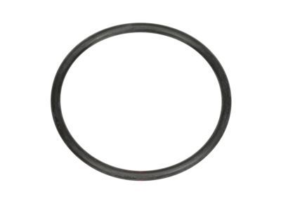 Ford BR3Z-8255-A Thermostat Seal