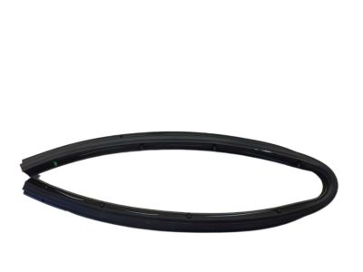 Lincoln FA1Z-5820759-B Lower Weatherstrip