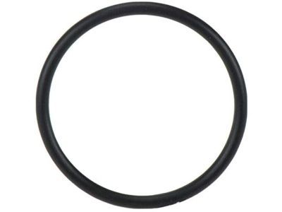 Ford BR3Z-8527-A Water Pump Seal