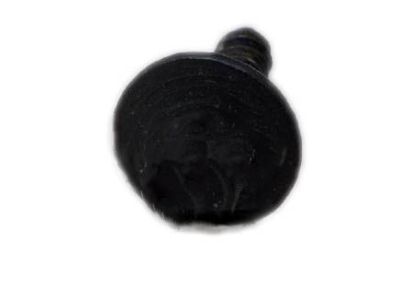 Ford -W701918-S424 Front Driver Speaker Retainer Screw