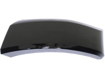 Ford HC3Z-16038-BPTM Front Molding