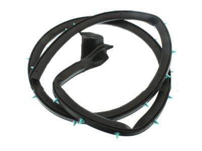 Ford BR3Z-6320530-A Lower Weatherstrip