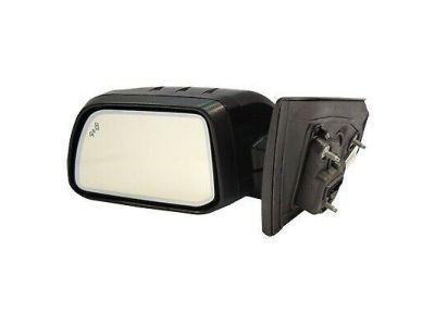 Lincoln CA1Z-17683-BAPTM Mirror