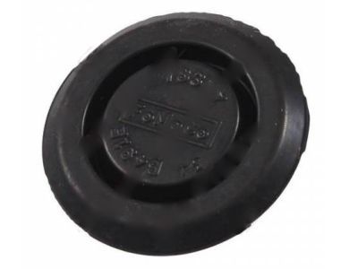 Ford -378377-S Plug - Blanking