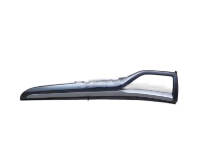 Ford DS7Z-5404338-PC Trim Molding