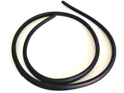 Ford Taurus Weather Strip - YF1Z-5420708-AAA