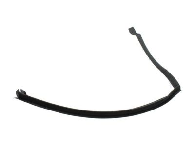 Ford Edge Door Seal - FT4Z-5828125-C