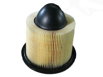 Ford F5OZ-9601-BA Filter