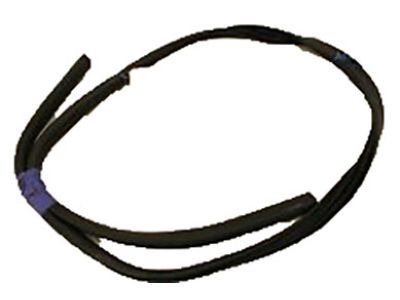 Ford CV6Z-58253A11-A Weatherstrip - Door Opening