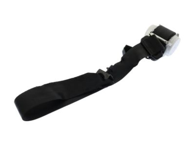 Ford DT1Z-17613B85-AA Seat Belt Assembly