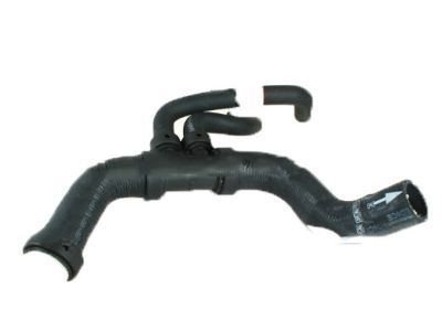 Ford BL3Z-8286-C Lower Hose