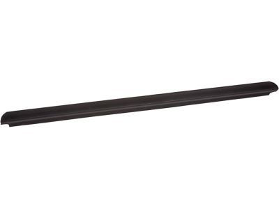 Ford F81Z-2625596-AA Belt Weatherstrip