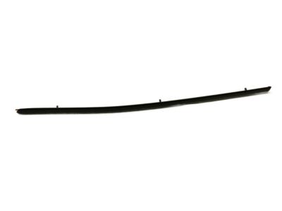 Ford 6E5Z-5425557-APTM Body Side Molding