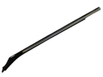 Ford FL3Z-1625597-C Weatherstrip - Door Glass Channel