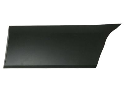 Ford CK4Z-6129397-DB Side Molding