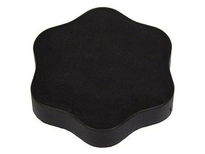 Lincoln 6E5Z-3A006-B Reservoir Cap