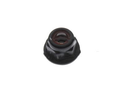 Lincoln -W520201-S450B Door Shell Nut