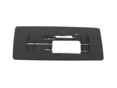 Lincoln DG1Z-5442624-AA Latch Cover