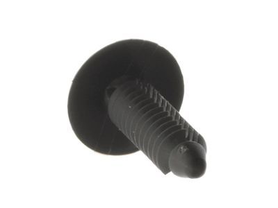 Ford -W708888-SAB Side Retainer Rivet