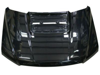 Ford HL3Z-16612-A Hood