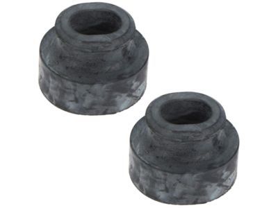 Ford XW4Z-8124-AA Radiator Lower Bushing