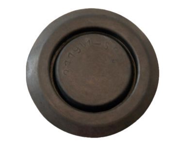 Ford -377901-S Plug